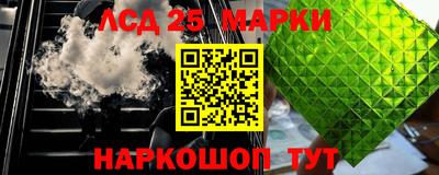 сатива Кингисепп