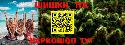 сатива Кингисепп