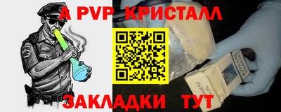 сатива Кингисепп