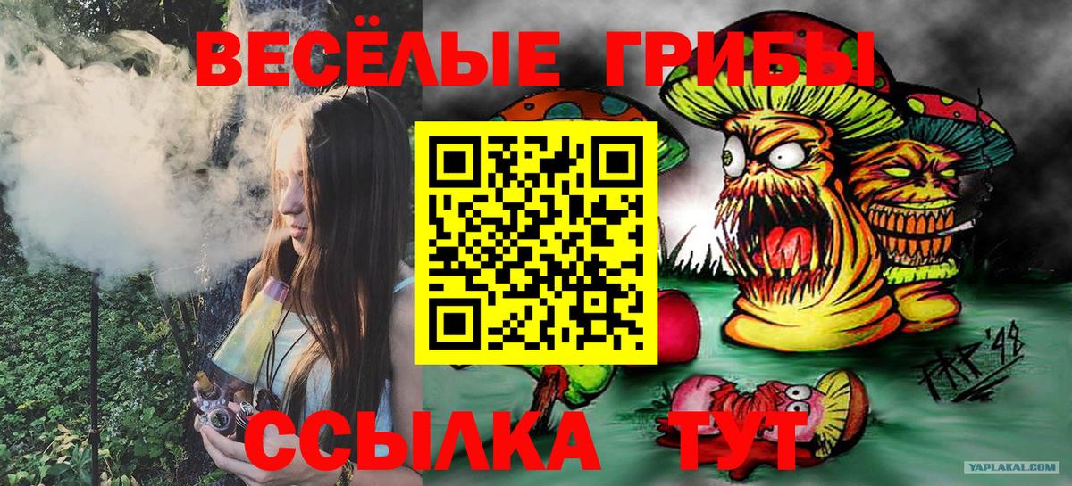 Лесной  Псилоцибиновые грибы прущие грибы  Вход с VPN 