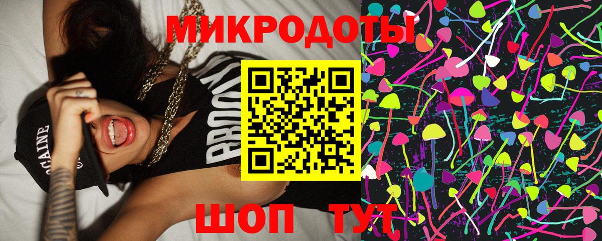 Псилоцибиновые грибы прущие грибы Лесной